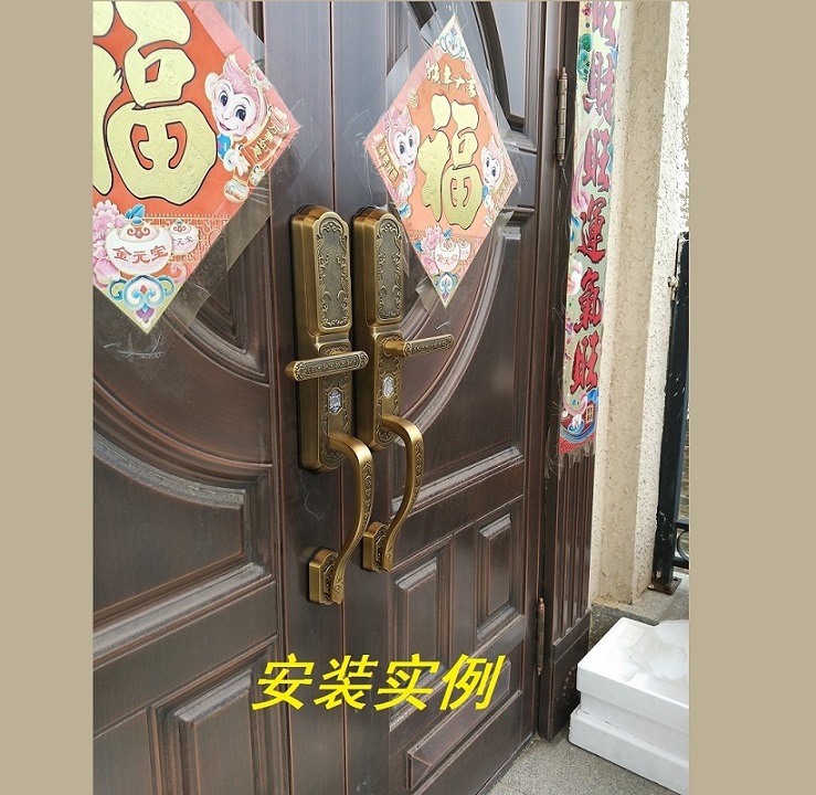 別墅雙開防盜門指紋鎖