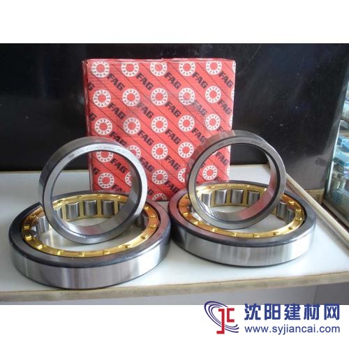 日本JNS軸承經銷商沈陽JNS圓柱滾子軸承代理商