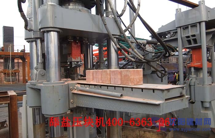 沈陽牛羊舔鹽壓塊機(jī)L礦物質(zhì)營養(yǎng)鹽設(shè)備